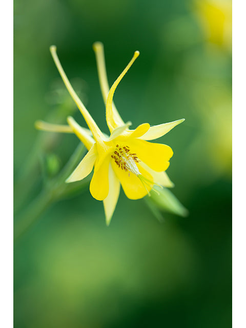 Photo by Bruce Leander