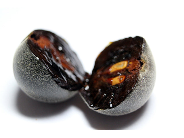 Texas persimmon - Fruit / Photo Credit: Marilyn McBroom Knight